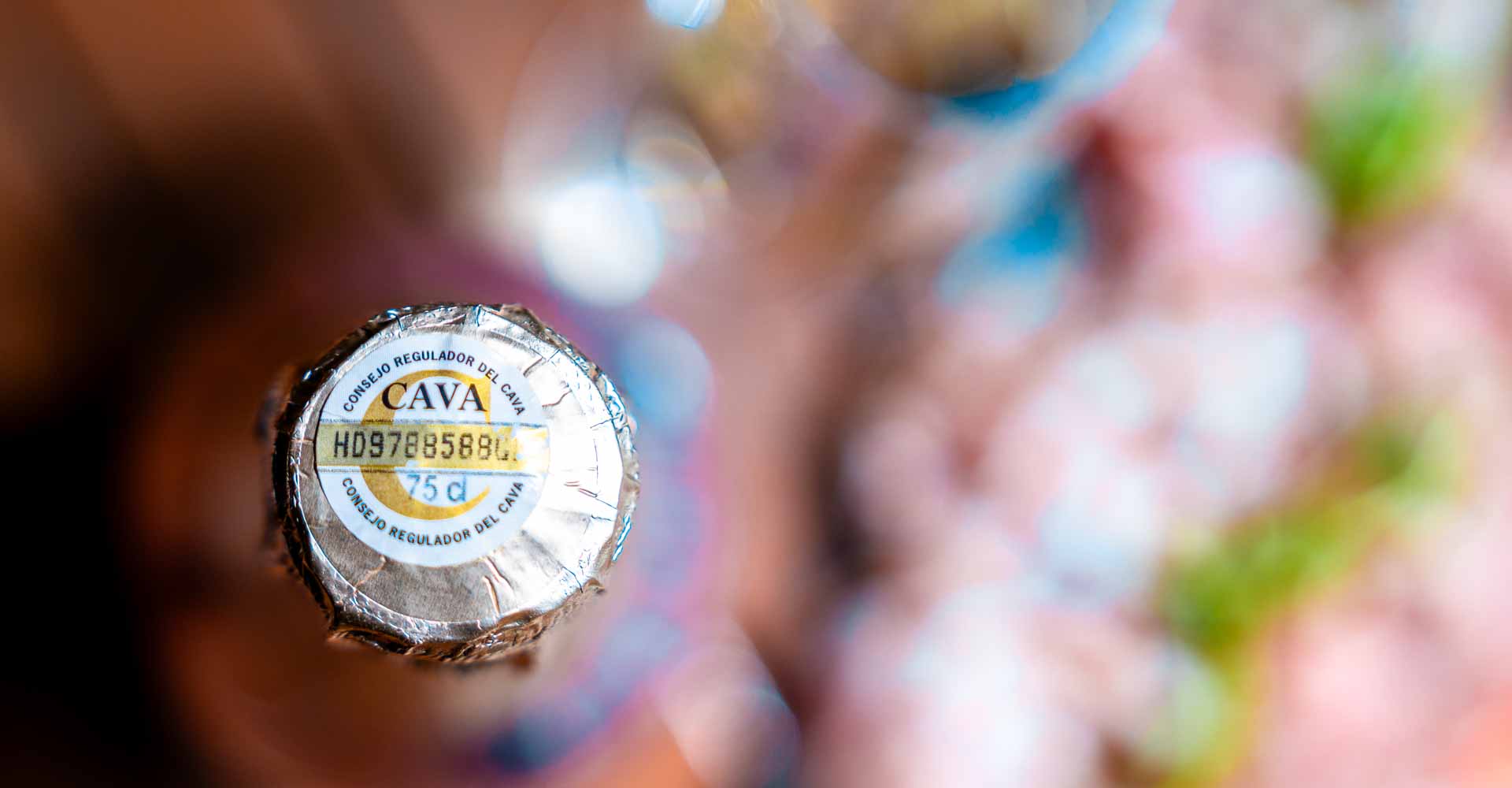 Druhy cavy – jak se v nich vyznat a co od nich čekat